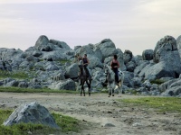 Aruba Horseback Riding