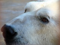 Tallinn Zoo