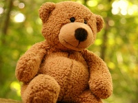 Archies Teddy Bear