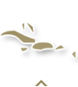 Caribbean Travel Guides