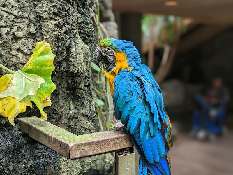 Central Park Zoo photo