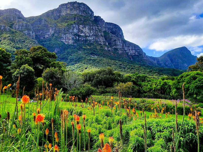 Kirstenbosch Botanical Gardens photo