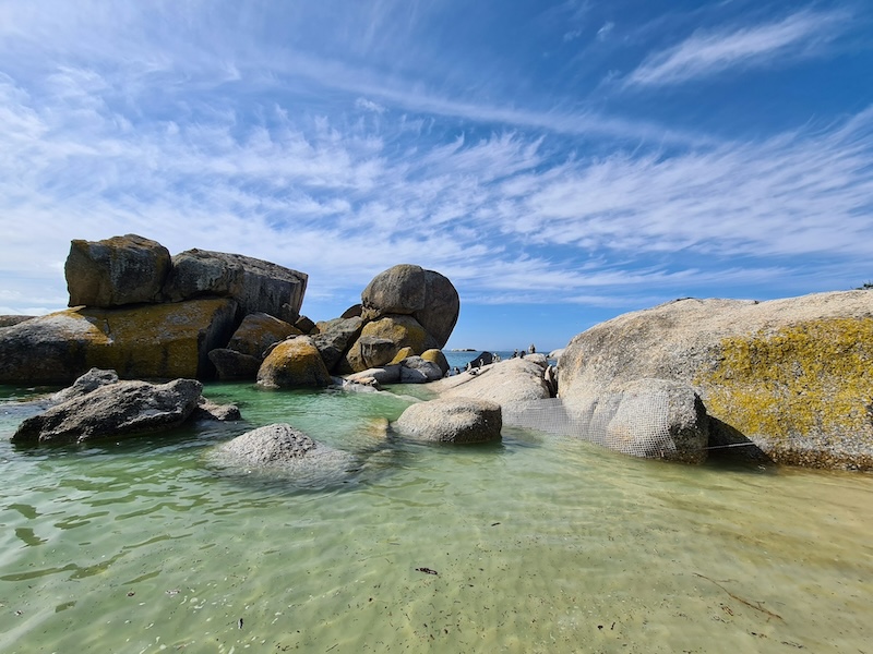 Simonstown and Boulders Beach photo